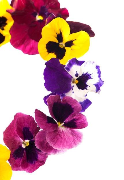 Pansies flowers wreath on White background. Flowers isolated on white background