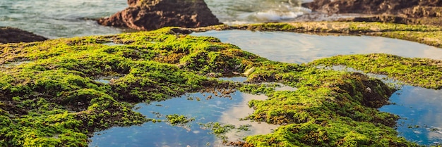 Pantai tegal wangi 해변 발리 섬 인도네시아 배너 긴 형식