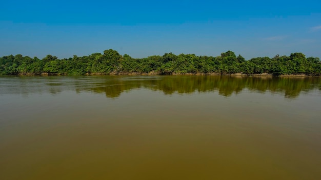 Pantanal river and forest ecosystem Mato Grosso Brazil