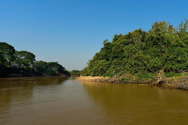 Pantanal rivier en bosecosysteem Mato Grosso Brazilië