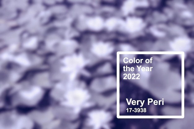 Pantone color of 2022 is Very Peri. Natural plant and flower background.