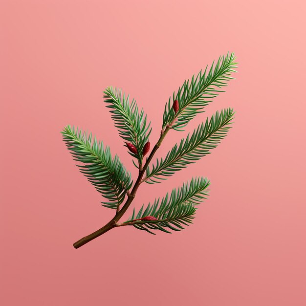 Pantone Radiance Fir Branch on Flat Colored Background