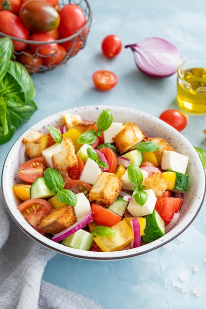 Panzanella salad Italian bread and fresh vegetable salad Copy space