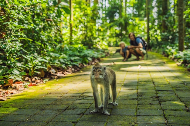 Papa en zoonsreizigers die het bos van Ubud ontdekken in Monkey forest, Bali, Indonesië. Reizen met kinderen concept.