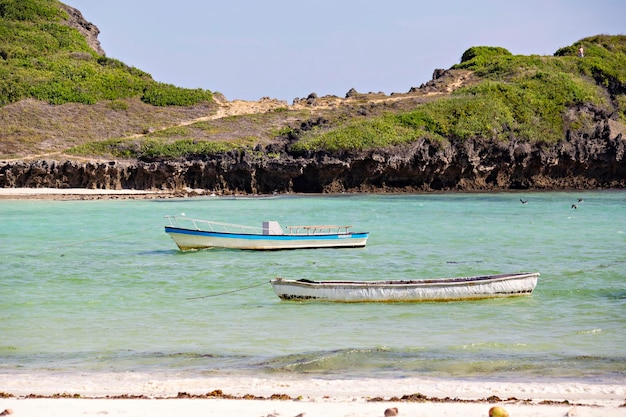 케냐의 와타무에 있는 파파 레모 해변, 청록색 바다 해변