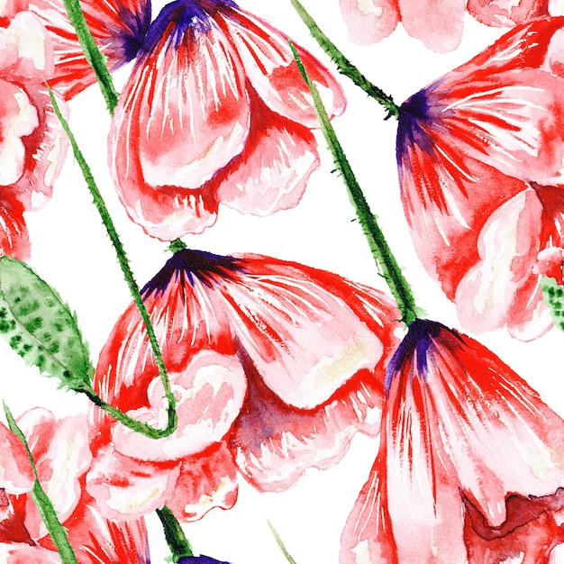 Papaver aquarel patroon