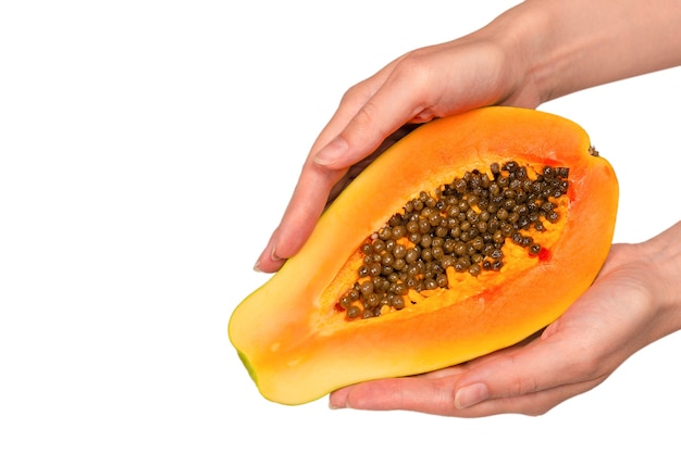 Papaya fruit isolated on a white background in woman hands. Tropical fruit. Half papaya.