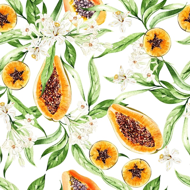 Papaya fruit and leaves seamless patterns on white background watercolor illustration