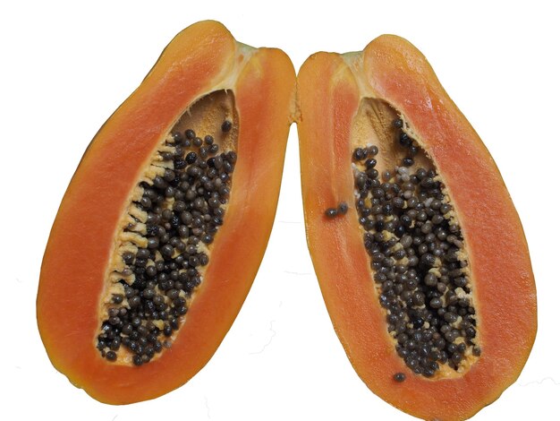 papaya on white background