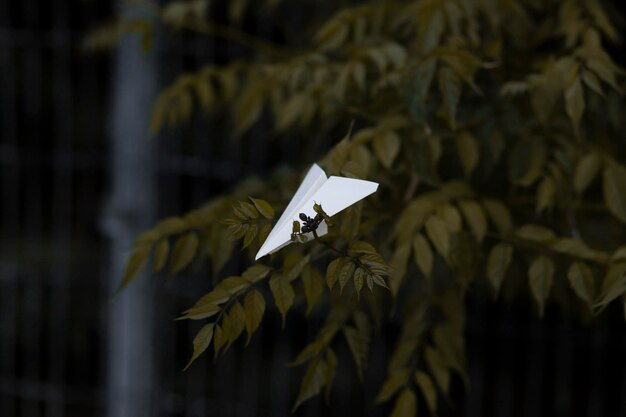 paper airplane lies on a branch. green background.realistic white paper plane 3D model