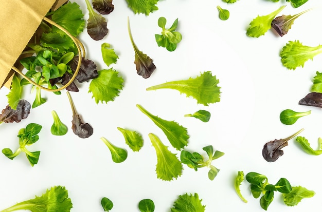 写真 紙袋流出白地に緑の葉野菜のサラダ