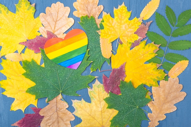 Cuore di carta arcobaleno luminoso su uno sfondo di foglie colorate secche cadute autunnali. concetto di sfondo naturale autunnale. concetto di autunno lgbt