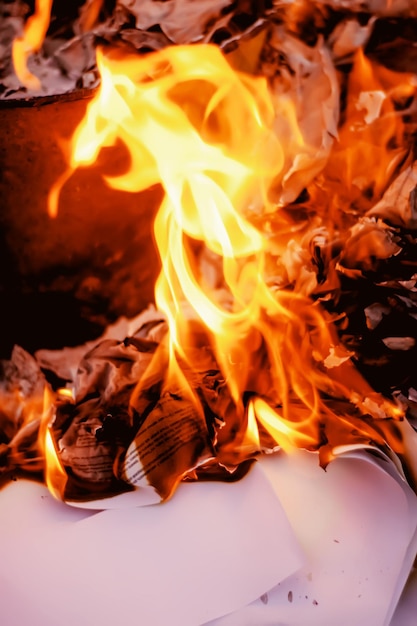 Paper burning on green summer grass outdoors