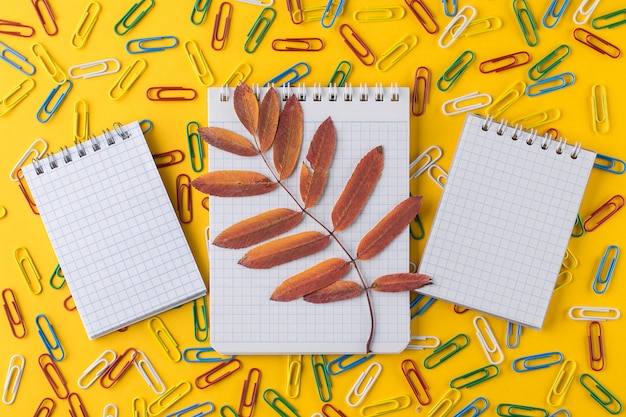 Paper clips and Notepad on bright yellow paper