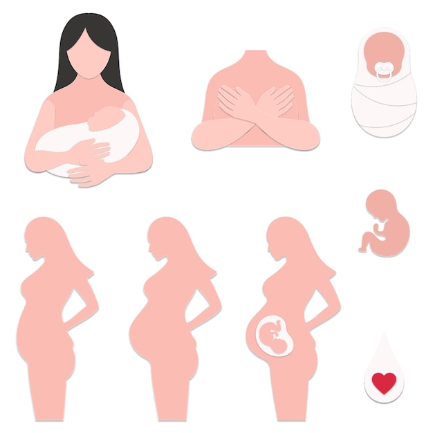 Paper craft pregnant woman and baby design element set