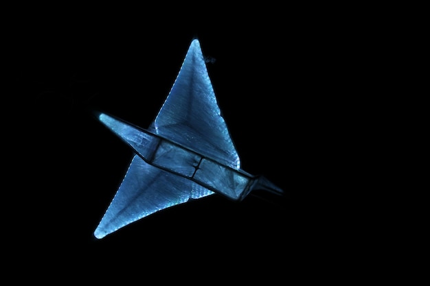 Photo paper crane against black background