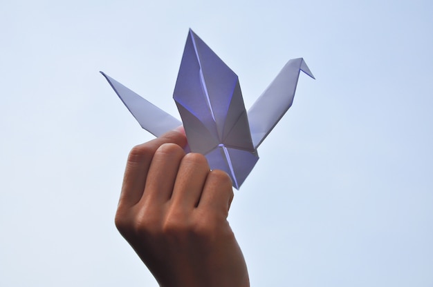 Paper crane's