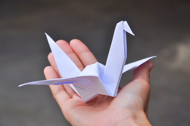 Photo paper crane's