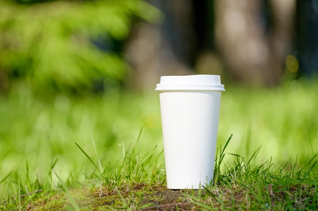 Бумажный стаканчик кофе в парке