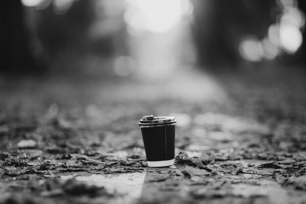 Paper cup with tea or coffee Paper cup