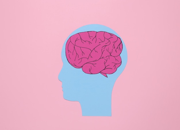 paper cut human head with brain on pink background