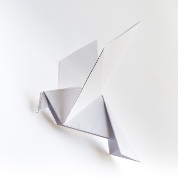 Paper dove origami isolated on a white background