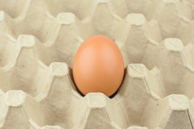 Paper Egg Tray background