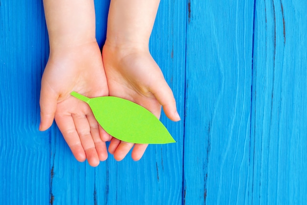 Photo paper green leaf in hands of child.