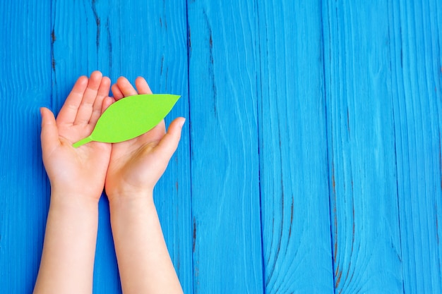 Photo paper green leaf in hands of child.