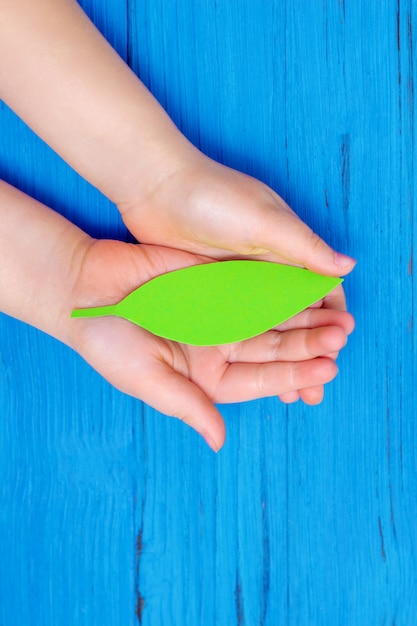 Paper green leaf in hands of child