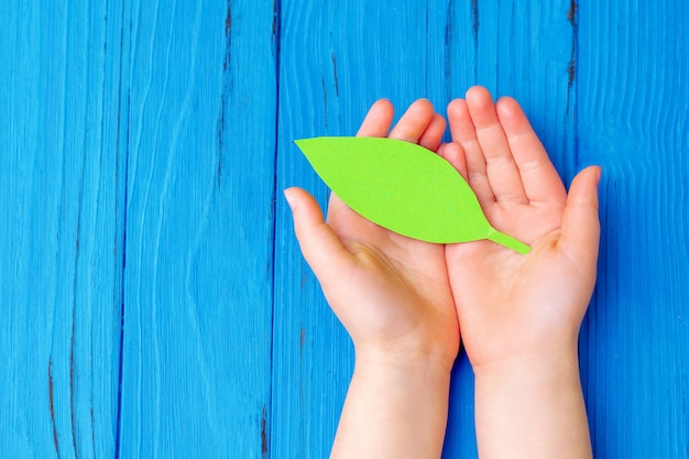 Paper green leaf in hands of child