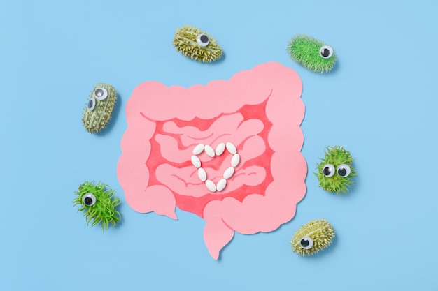paper gut with pills and funny bacteria on blue background
