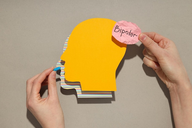 Paper human heads with pills and the word bipolar bipolar disorder concept