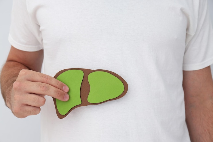 Photo paper liver in mans hand on white background close up