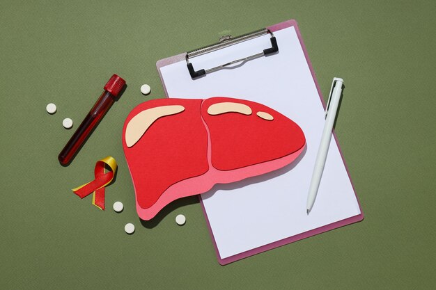 Photo paper mockup of liver and folder on green background top view