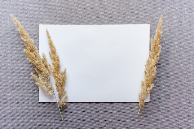 Шаблон бумажного макета с двумя пушистыми ветками полевых растений на бежевой текстурированной ткани