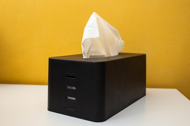 Paper napkins in a box are on the table