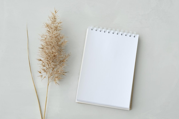 Paper note pad list goals and dry herbs common reed or pampas grass on a beige background copy space