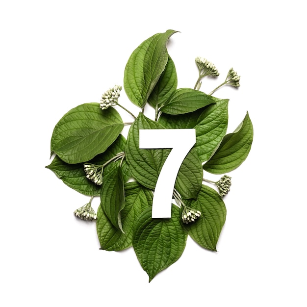 Paper number seven on background of green leaves. Minimal creative Layout with natural elements for your design.