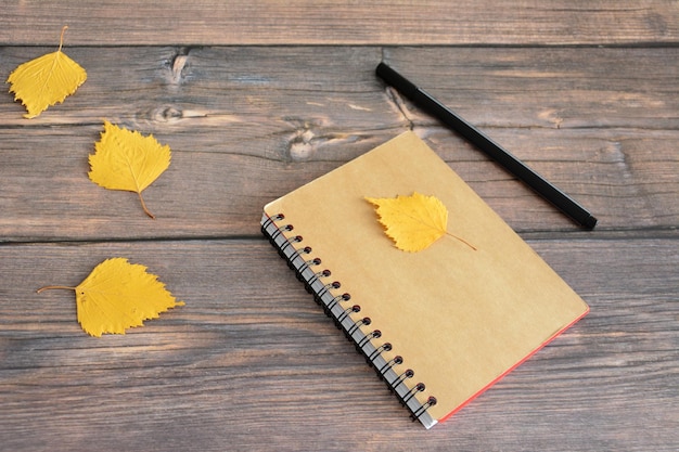 paper organizer with pen and yellow autumn leaves, close-up