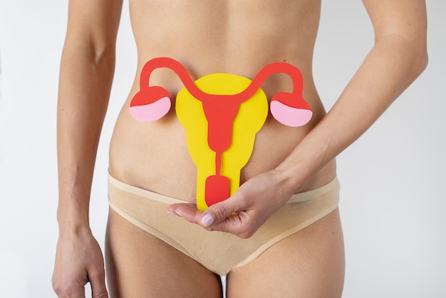 Paper ovary held by woman near her reproductive system