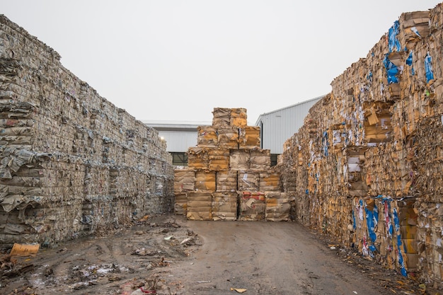 リサイクル産業の製紙工場での紙の山と段ボール