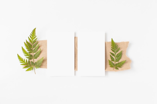 Paper rectangle frame mockup above craft paper, fern green leaves flat lay on white background top view. Minimalism composition in neutral tones. Empty blank template with copy space. Ecology, forest