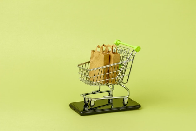 Paper shopping bags with fresh green salad in cart