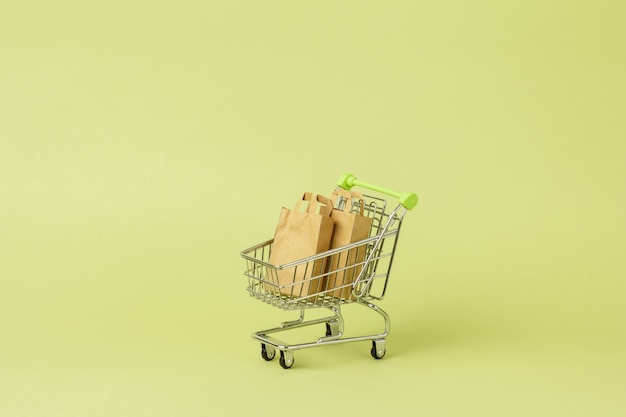 Paper shopping bags with fresh green salad in cart