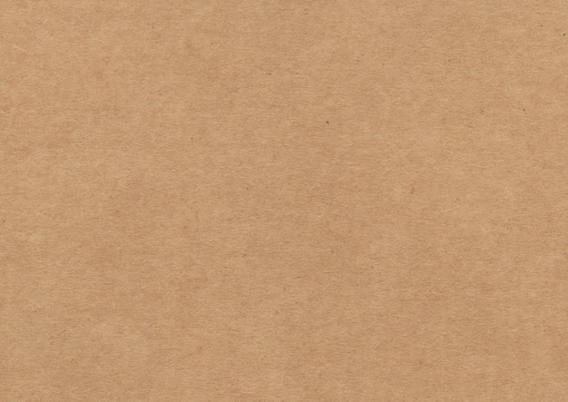 Paper Texture 8