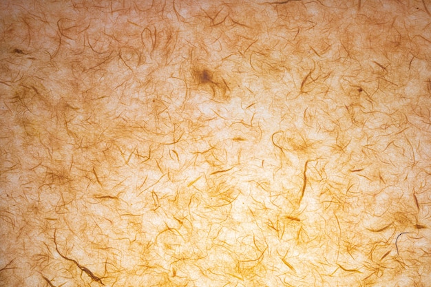 Texture di carta fatta a mano con fibre organiche visibili