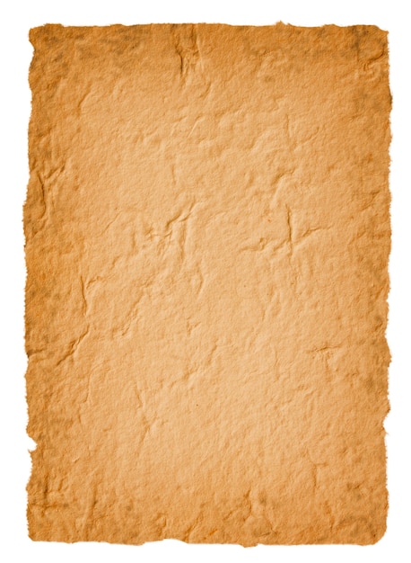 Paper texture. old book page backgrounds