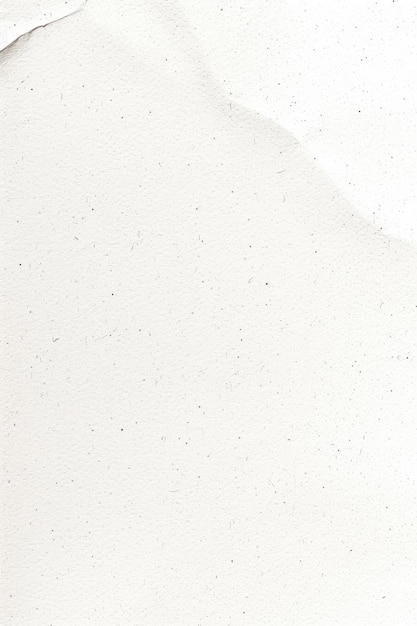 Photo paper texture white simple minimalist background