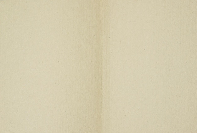 Photo paper texture